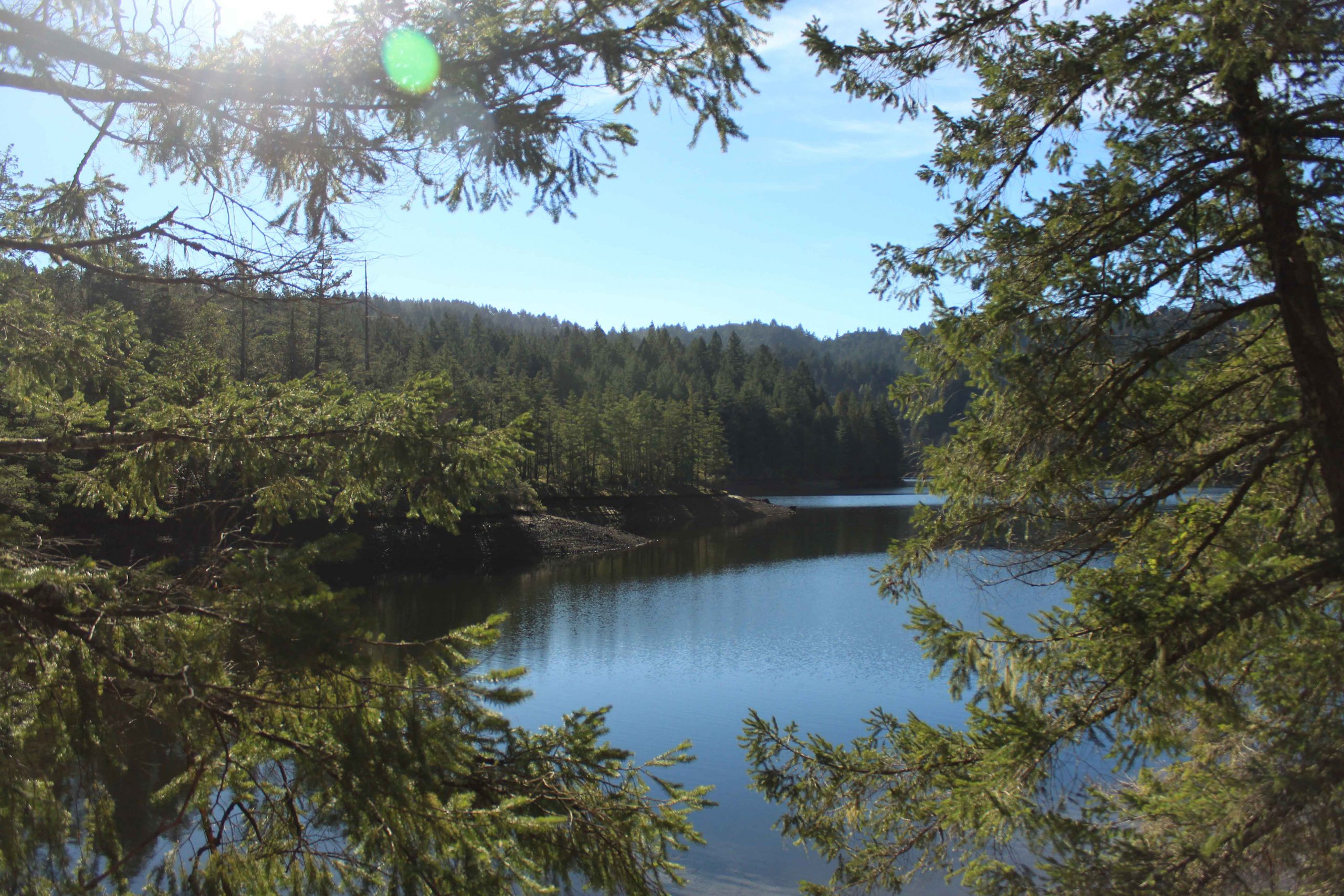 Woods and Lake at Mount Tamalpais