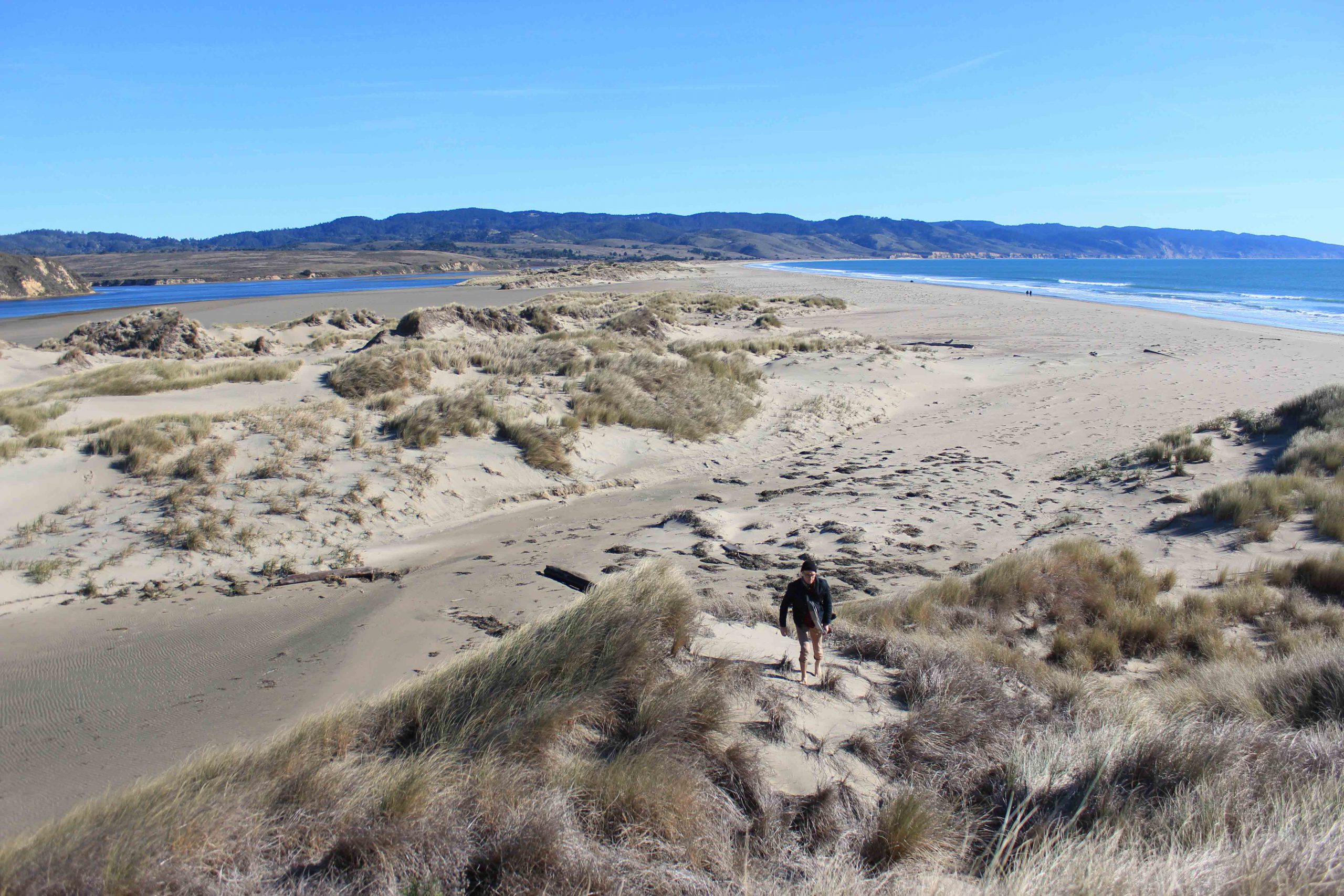 Dunes of Limantour Beach